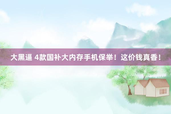 大黑逼 4款国补大内存手机保举!这价钱真香!