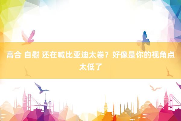 高合 自慰 还在喊比亚迪太卷？好像是你的视角点太低了