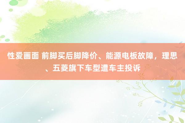 性爱画面 前脚买后脚降价、能源电板故障，理思、五菱旗下车型遭车主投诉