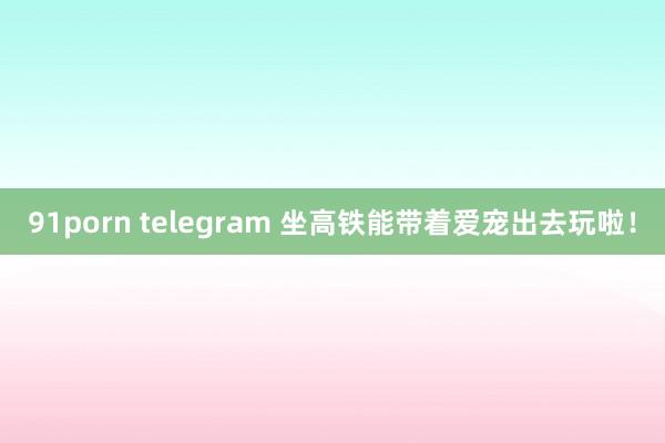 91porn telegram 坐高铁能带着爱宠出去玩啦！
