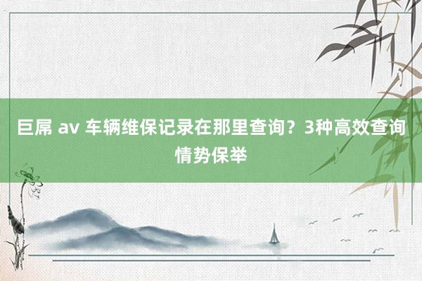 巨屌 av 车辆维保记录在那里查询？3种高效查询情势保举