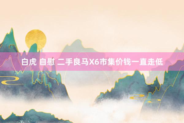 白虎 自慰 二手良马X6市集价钱一直走低