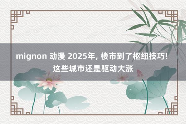 mignon 动漫 2025年， 楼市到了枢纽技巧! 这些城市还是驱动大涨