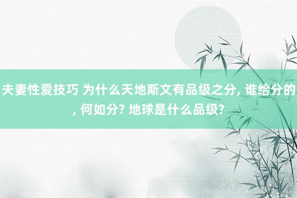 夫妻性爱技巧 为什么天地斯文有品级之分， 谁给分的， 何如分? 地球是什么品级?