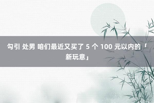 勾引 处男 咱们最近又买了 5 个 100 元以内的「新玩意」
